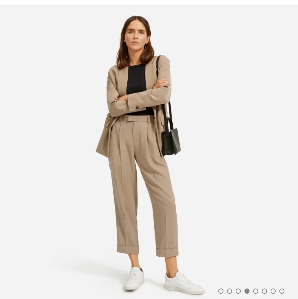 NWOT Everlane - the Put-together Pleat Pant